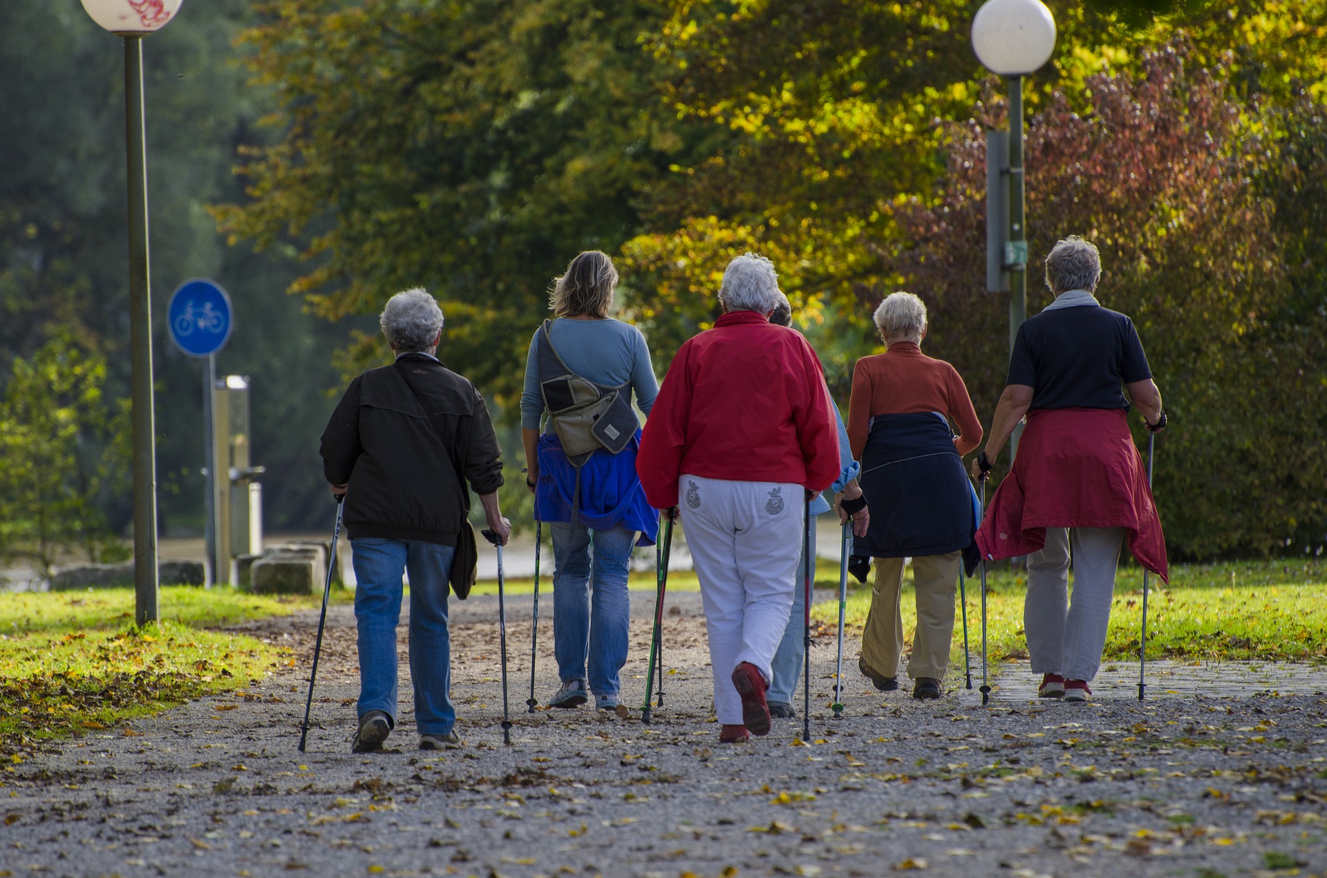 Парк долголетия. Скандинавская ходьба пенсионеры. Скандинавская ходьба для пожилых. Прогулка пожилых людей. Пожилые люди в парке.