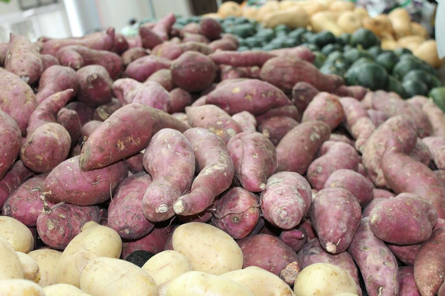 Сладкие сорта картофеля
