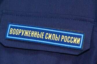 Мобилизация