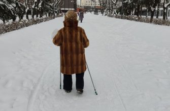 Пенсионер зима скандинавская ходьба