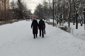 Пенсионеры зима