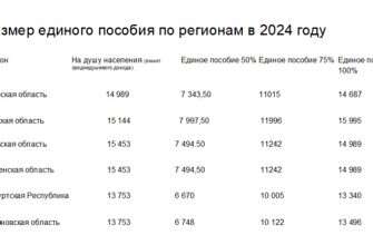 Размер единого пособия по регионам в 2024 году 08