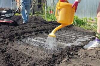 дача лейка мотоблок