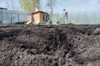 дача мотоблок человек пашет снова 2