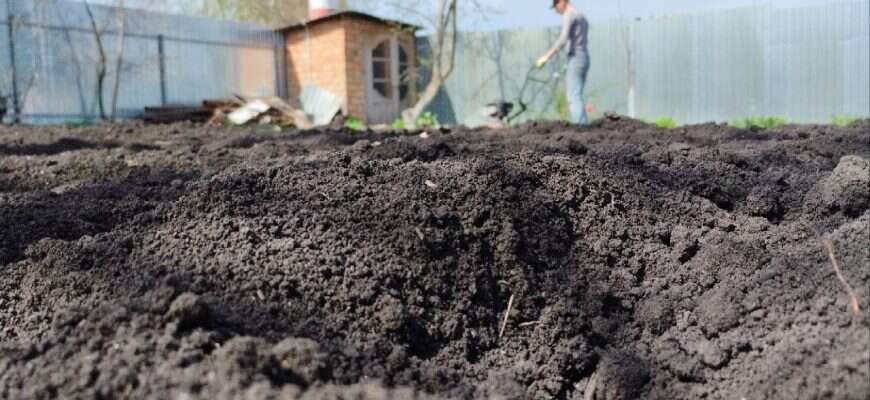 дача мотоблок человек пашет снова 2