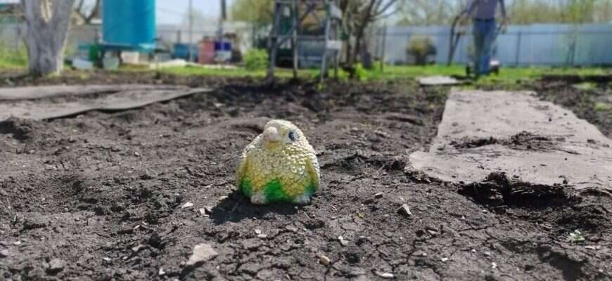 дача работа люди