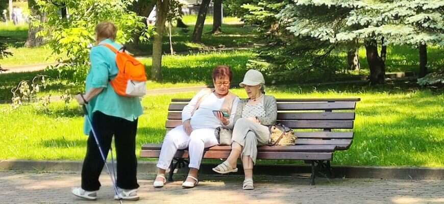 пенсионерки лето скамейка