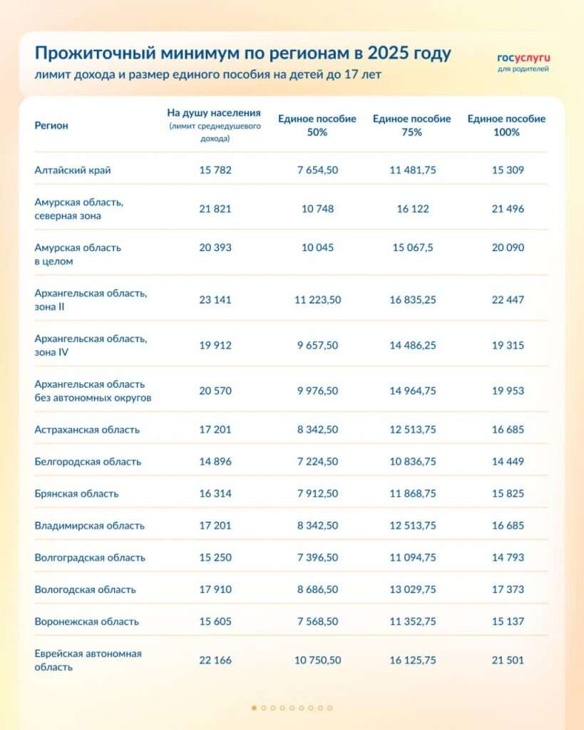 Единое пособие на 2025 год 01