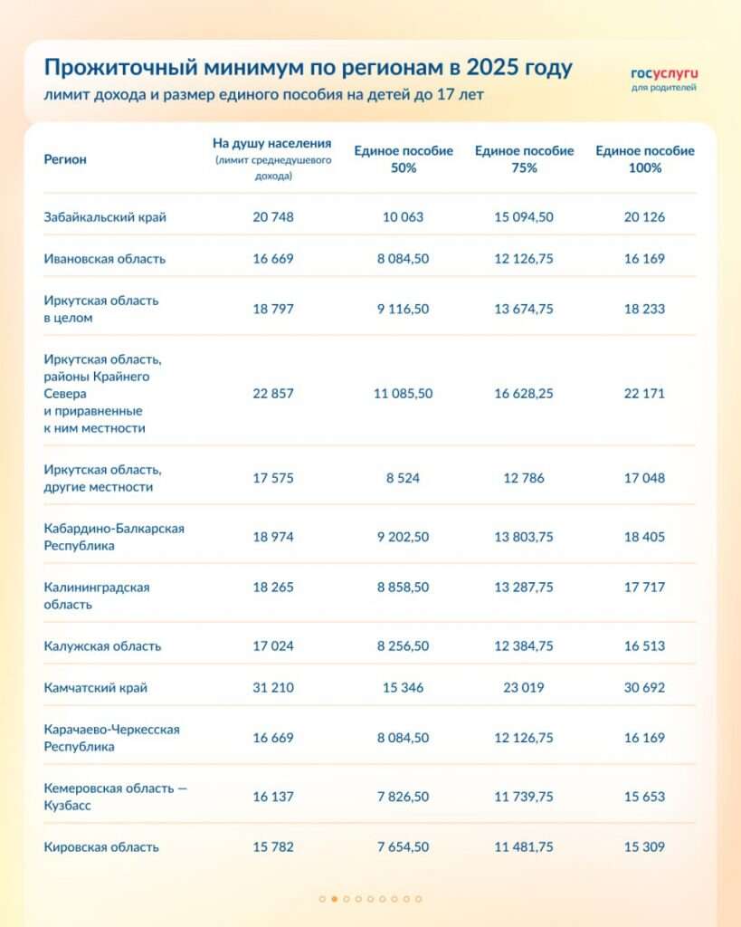 Единое пособие на 2025 год 02