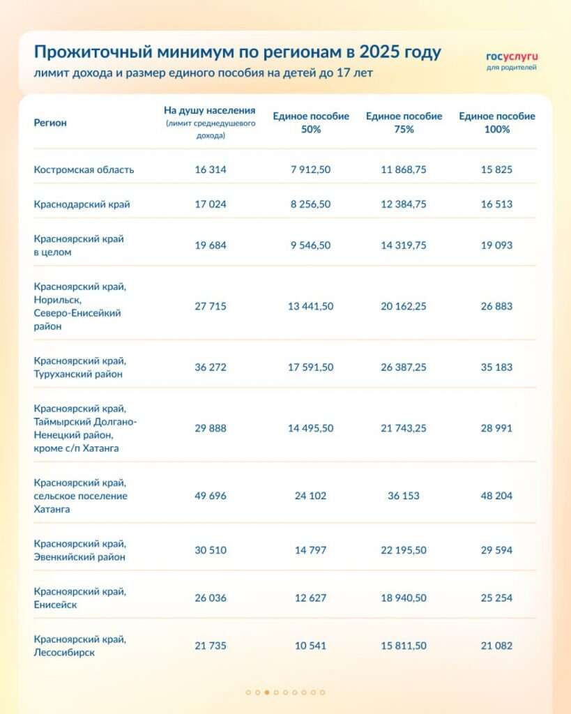 Единое пособие на 2025 год 03