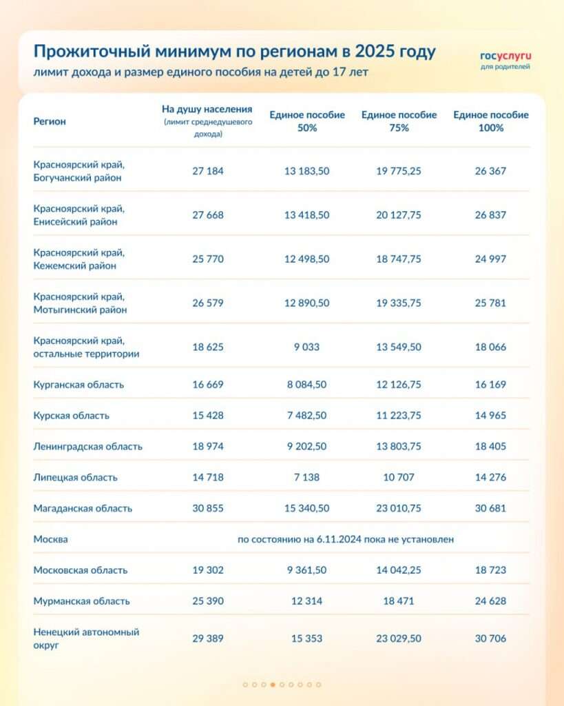 Единое пособие на 2025 год 04