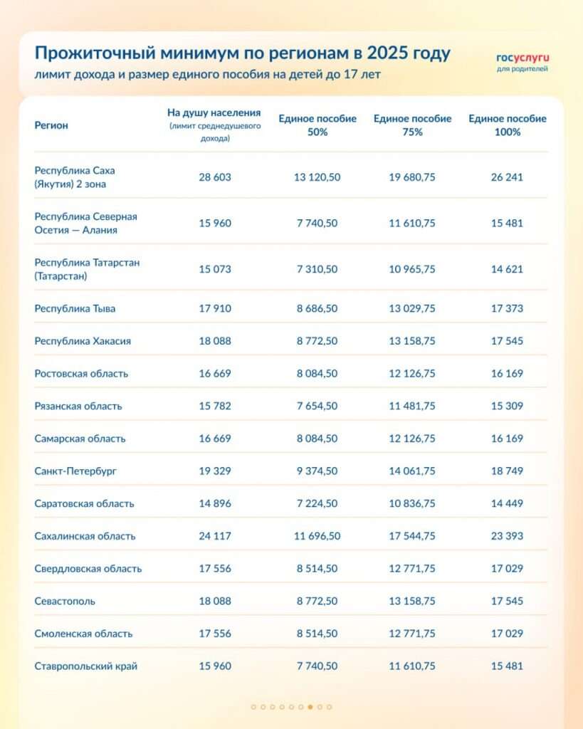 Единое пособие на 2025 год 07