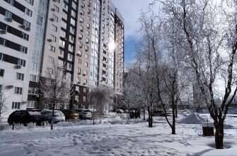 дом деревья зима иней снег