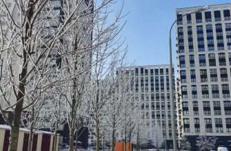 дом дома деревья иней снег зима