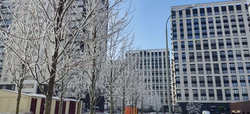 дом дома деревья иней снег зима