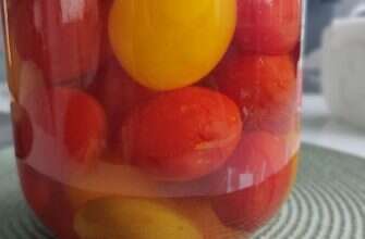 помидоры соленые томаты маринад соленья