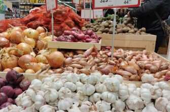 овощи магазин супермаркет продукты