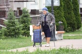 пенсионерка с сумкой