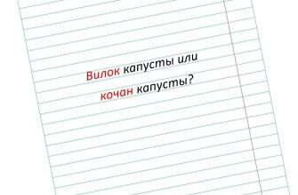 кочан слово грамотность русский язык
