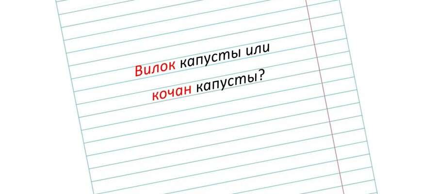 кочан слово грамотность русский язык