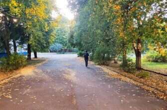 осень погода