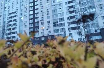 дом осень листья