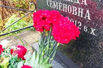 гвоздики могила кладбище памятник