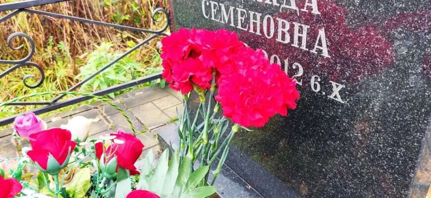 гвоздики могила кладбище памятник