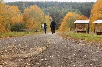 осень лес семья дети
