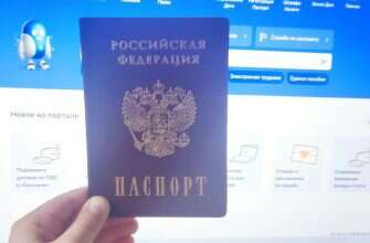 паспорт гоуслуги