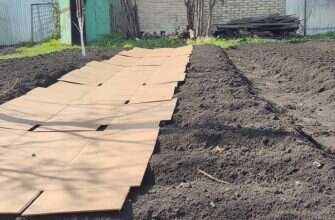 грядка картон