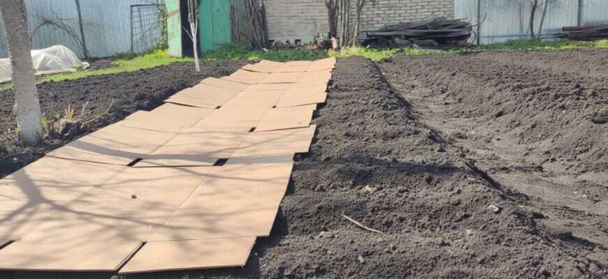 грядка картон