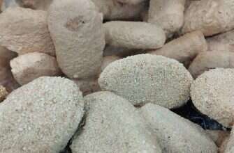 котлеты продукты полуфабрикаты магазин