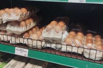 яйца кассеты лотки пульпекартон