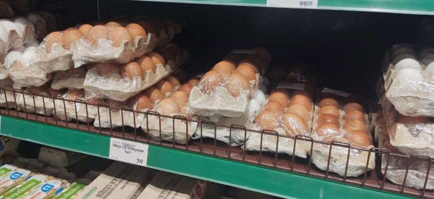 яйца кассеты лотки пульпекартон