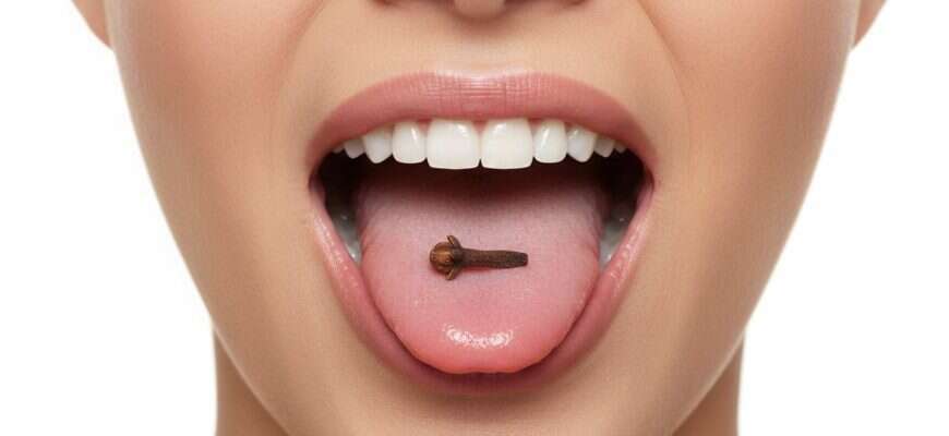 язык гвоздика