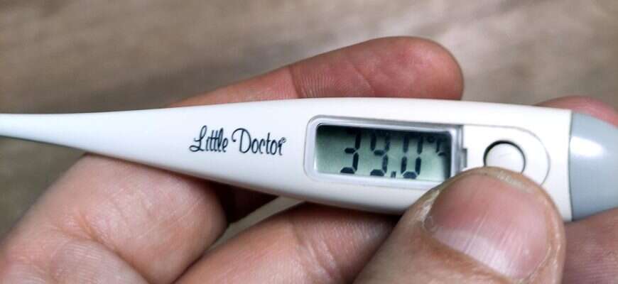 градусник температура