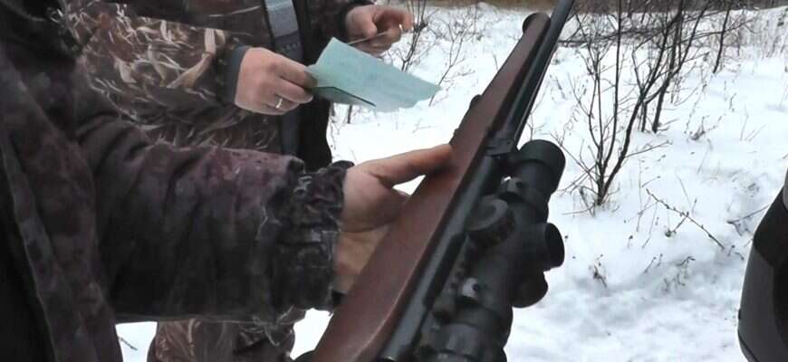 охота ружье