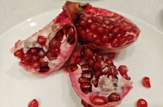 спелый гранат с сухой короной