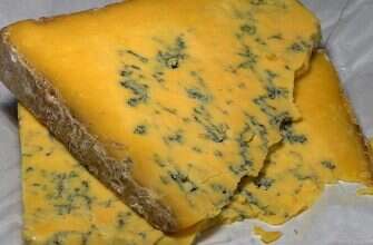 сыр плесень