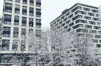 дома деревья зима