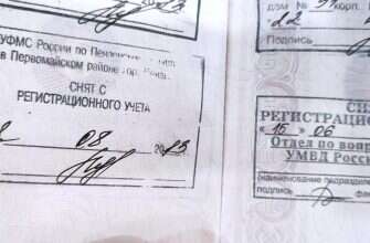 паспорт прописка регистрация