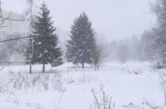 погода снег зима