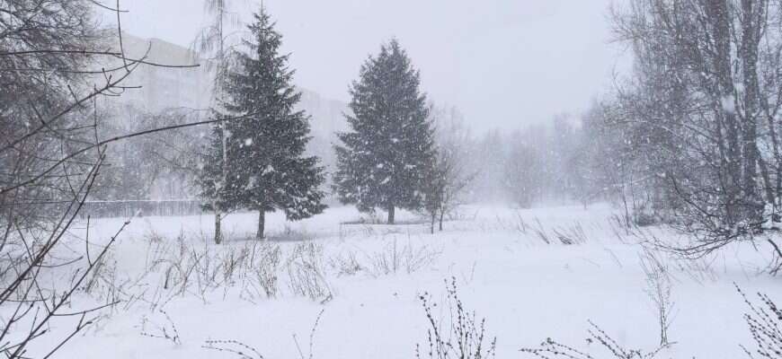 погода снег зима