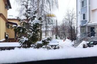 погода в Пензе снег