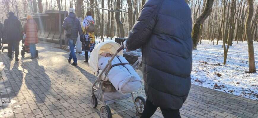 ребенок коляска семья