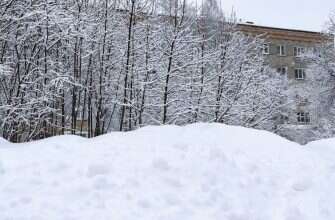 сугроб зима снег деревья