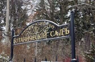 ботанический-сад-в-Пензе