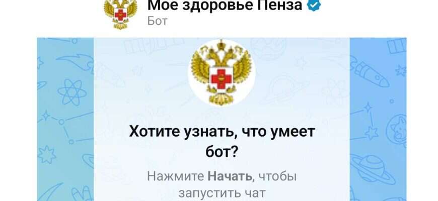 чат-бот-MAX