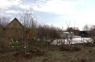 дача дерево синтепон